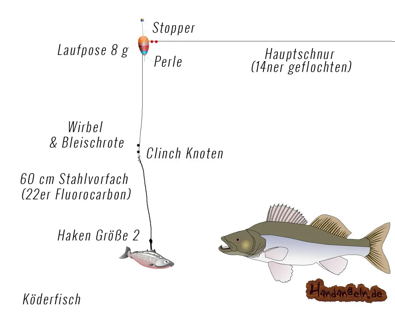 Zeichnung einer Posenmontage zum Zanderangeln